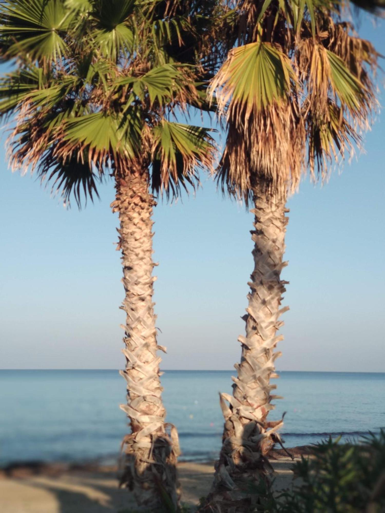 Cofanomare Bed & Breakfast Custonaci Exterior foto